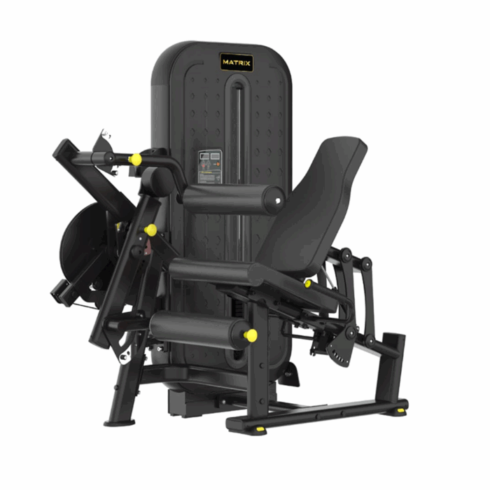 leg curl+extension